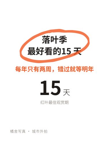 圈重点报价