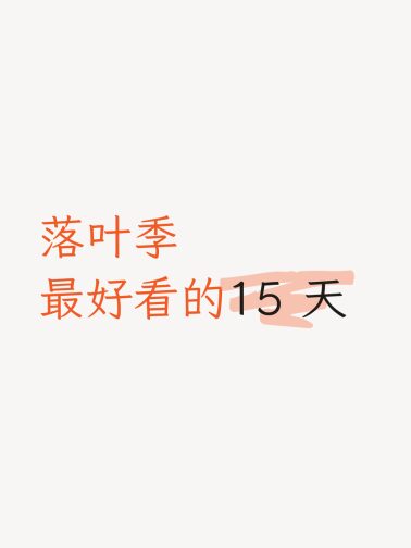 楷体荧光笔