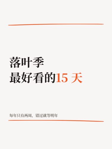 宋体双线